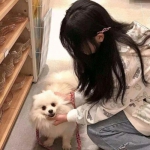 少年驱魔教团vivo步步高客户端下载